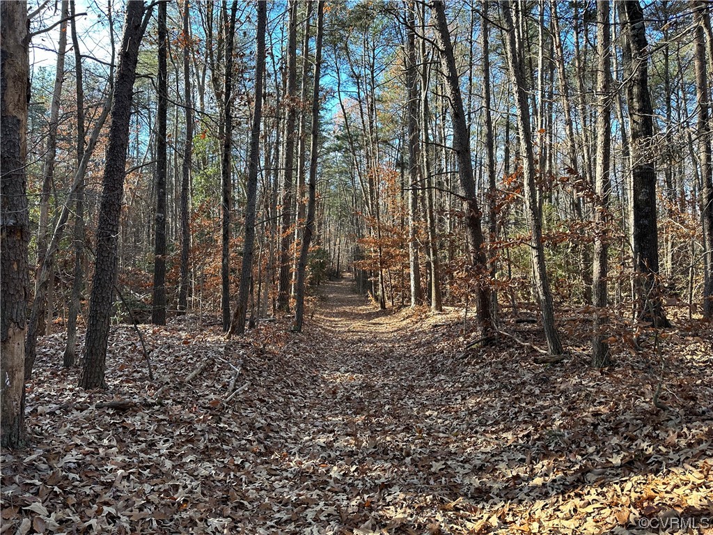 82 Acres Gera Road King George, VA 22485 - Photo 1 of 35 Gallery Image 1
