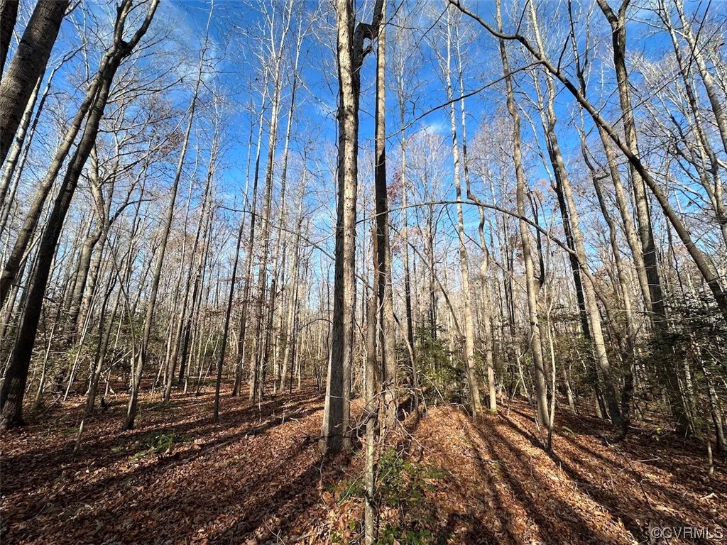 82 Acres Gera Road King George, VA 22485 - Photo 11 of 35 Gallery Image 11