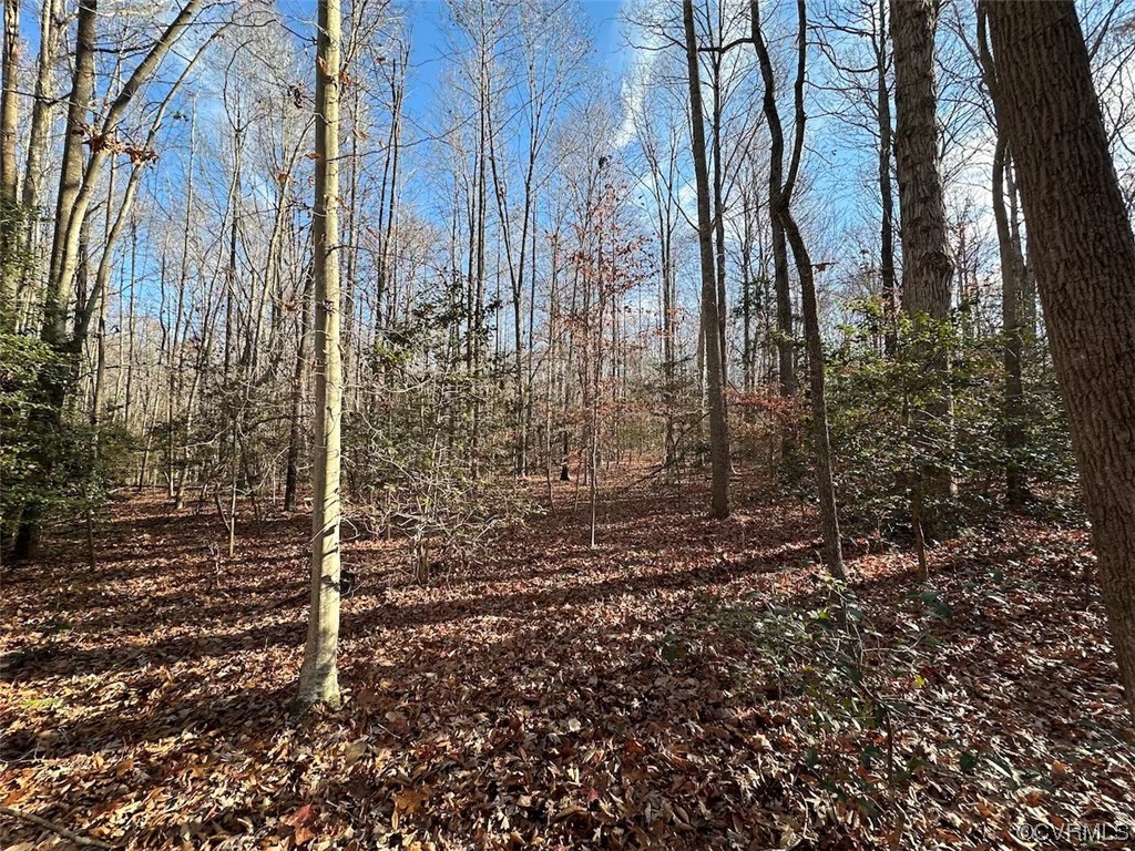 82 Acres Gera Road King George, VA 22485 - Photo 12 of 35 Gallery Image 12
