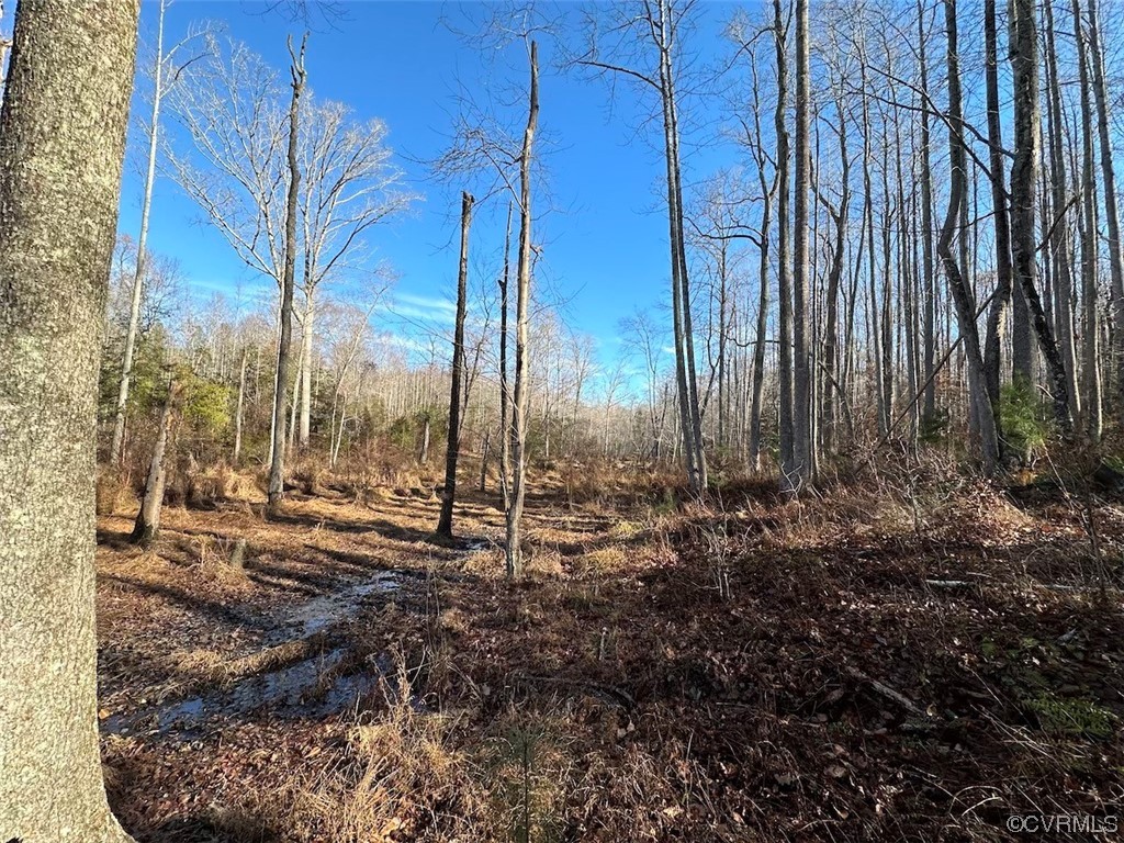 82 Acres Gera Road King George, VA 22485 - Photo 13 of 35 Gallery Image 13