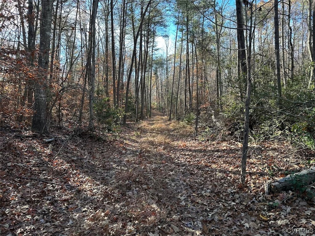 82 Acres Gera Road King George, VA 22485 - Photo 15 of 35 Gallery Image 15