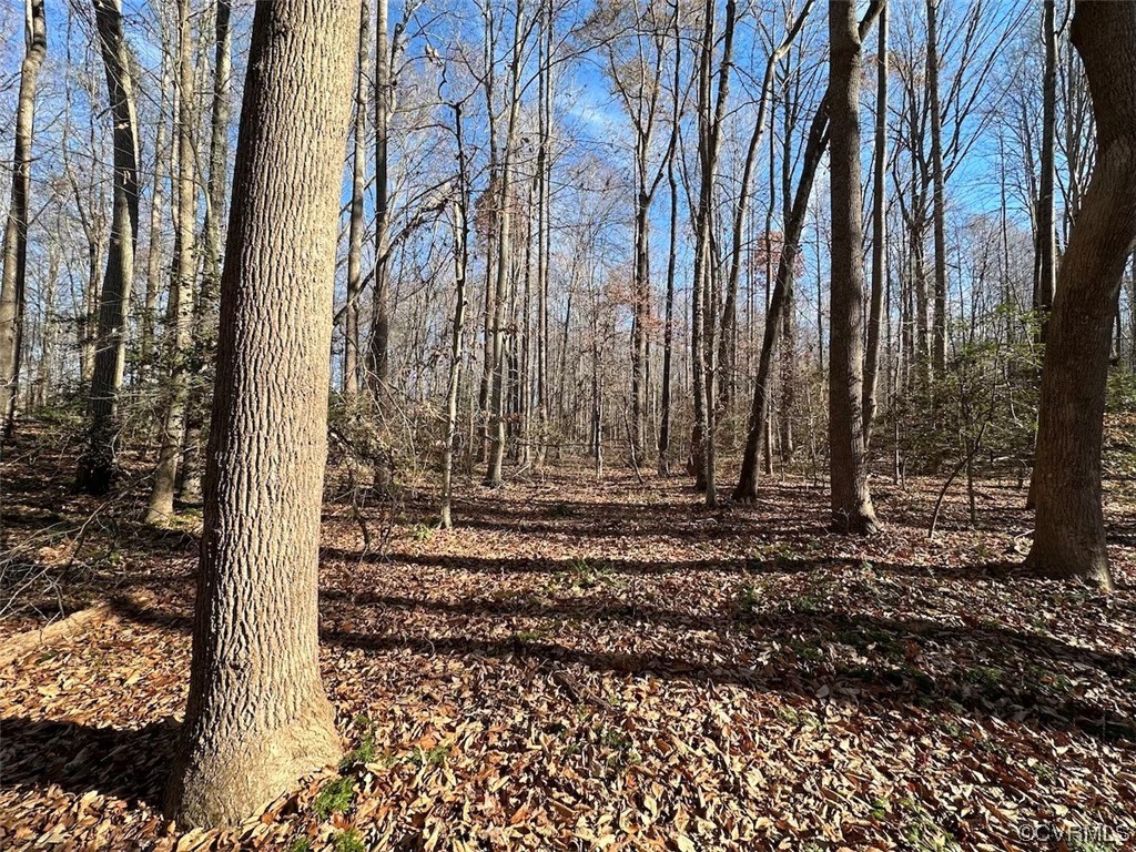 82 Acres Gera Road King George, VA 22485 - Photo 17 of 35 Gallery Image 17