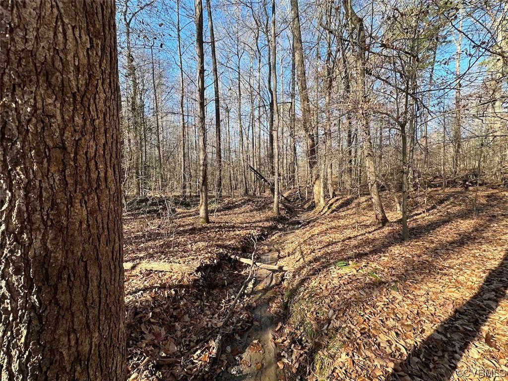 82 Acres Gera Road King George, VA 22485 - Photo 18 of 35 Gallery Image 18