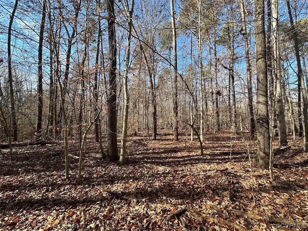82 Acres Gera Road King George, VA 22485 - Photo 20 of 35 Gallery Image 20
