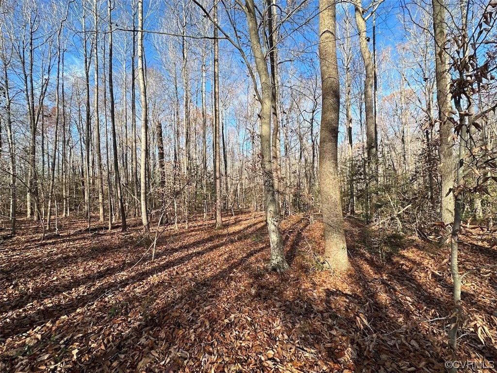 82 Acres Gera Road King George, VA 22485 - Photo 2 of 35 Gallery Image 2