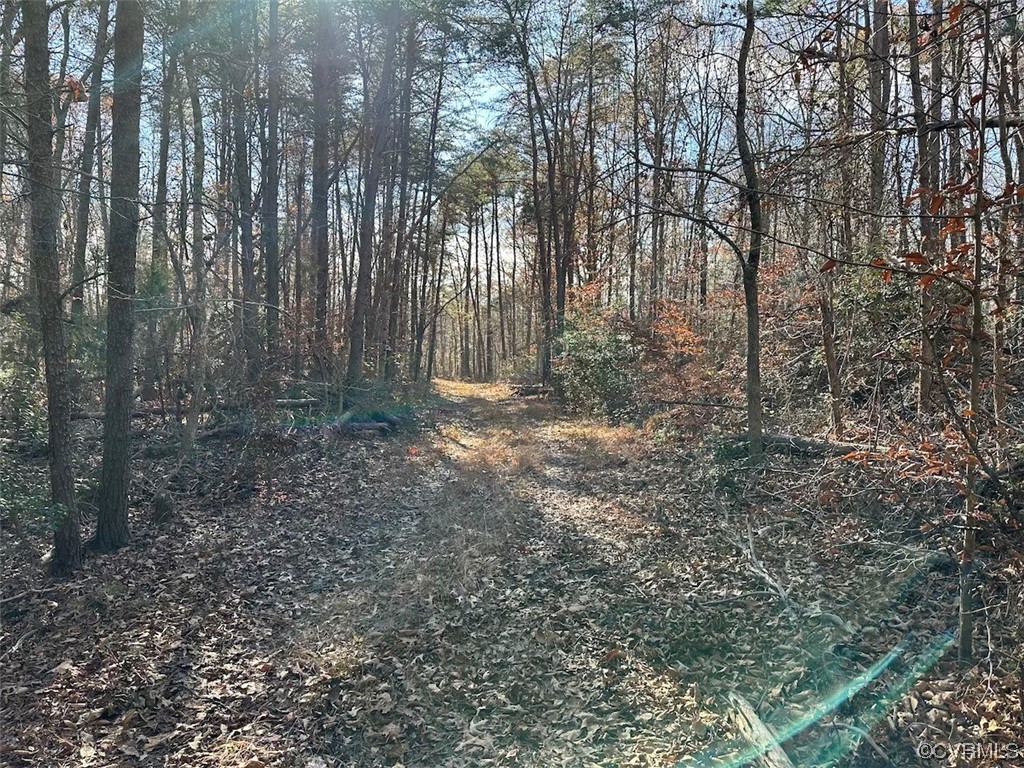 82 Acres Gera Road King George, VA 22485 - Photo 21 of 35 Gallery Image 21