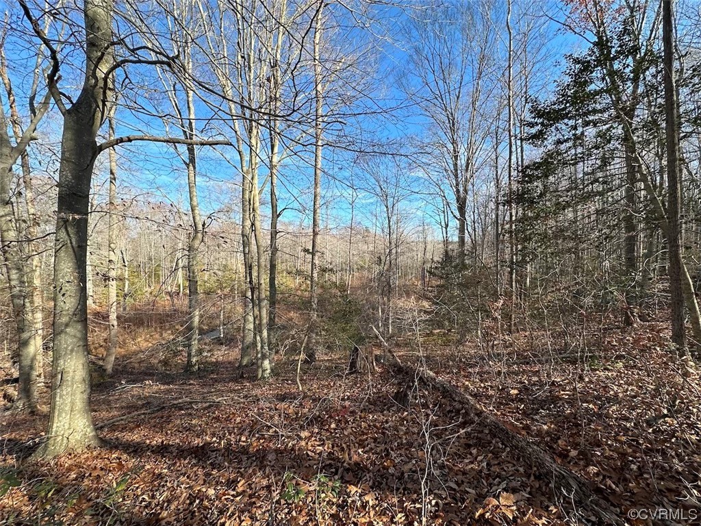 82 Acres Gera Road King George, VA 22485 - Photo 23 of 35 Gallery Image 23