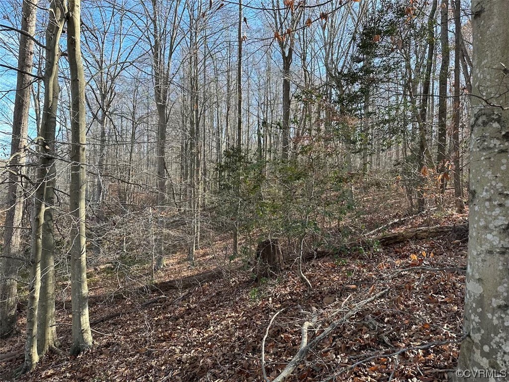 82 Acres Gera Road King George, VA 22485 - Photo 24 of 35 Gallery Image 24