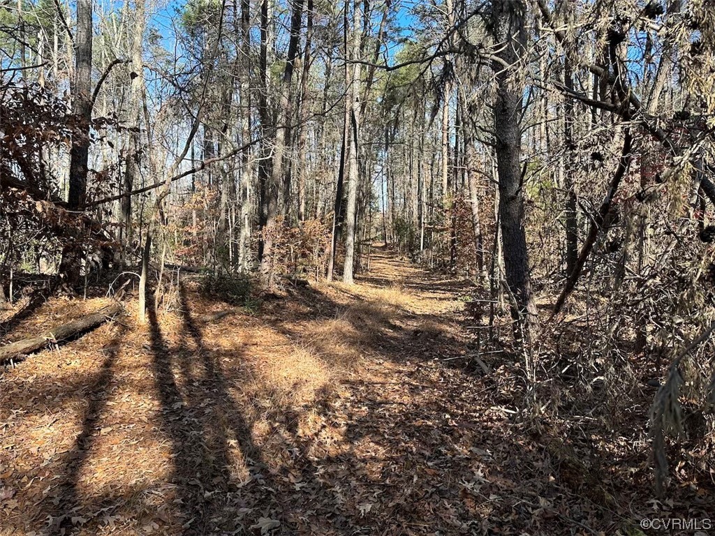 82 Acres Gera Road King George, VA 22485 - Photo 25 of 35 Gallery Image 25