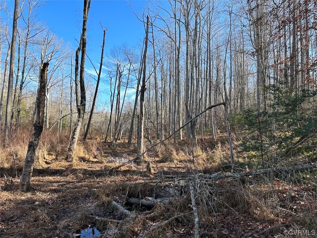 82 Acres Gera Road King George, VA 22485 - Photo 26 of 35 Gallery Image 26