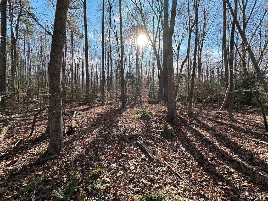 82 Acres Gera Road King George, VA 22485 - Photo 29 of 35 Gallery Image 29