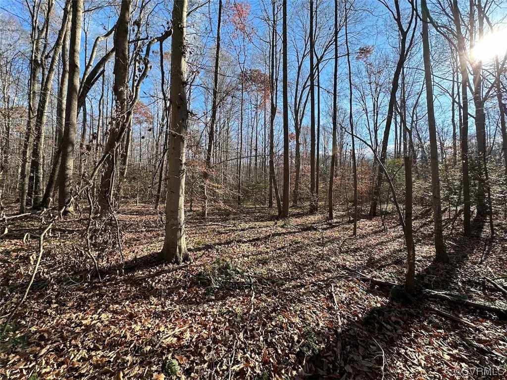82 Acres Gera Road King George, VA 22485 - Photo 3 of 35 Gallery Image 3