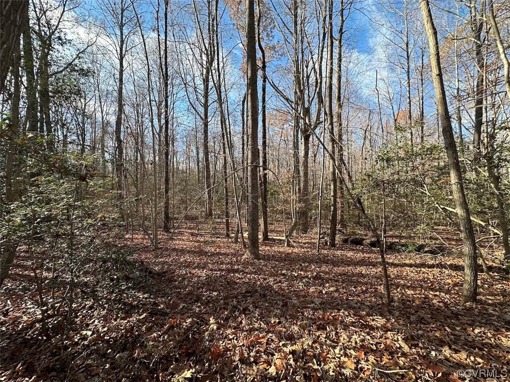 82 Acres Gera Road King George, VA 22485 - Photo 5 of 35 Gallery Image 5