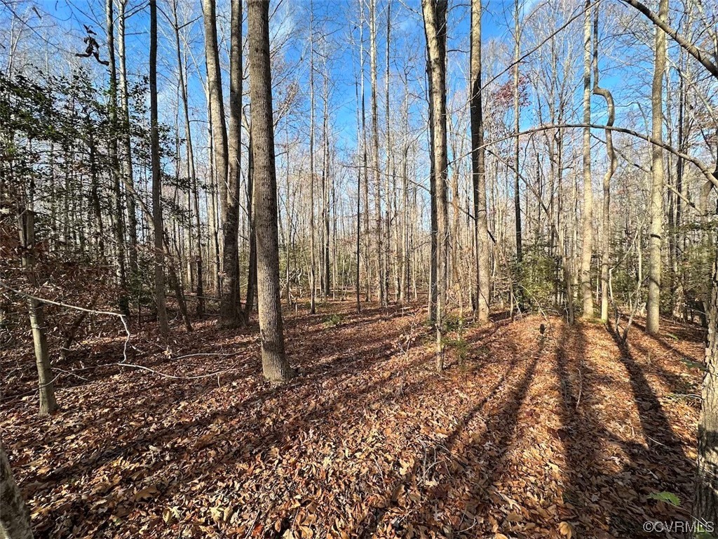 82 Acres Gera Road King George, VA 22485 - Photo 7 of 35 Gallery Image 7