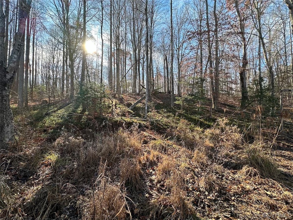 82 Acres Gera Road King George, VA 22485 - Photo 8 of 35 Gallery Image 8