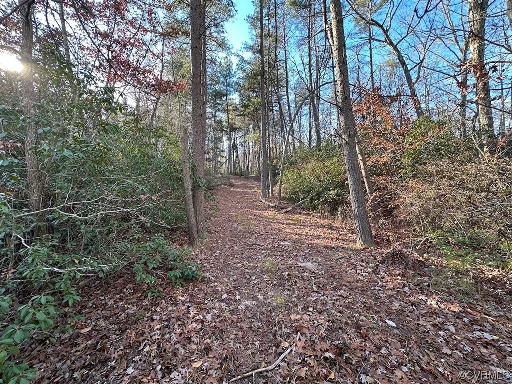 82 Acres Gera Road King George, VA 22485 - Photo 9 of 35 Gallery Image 9