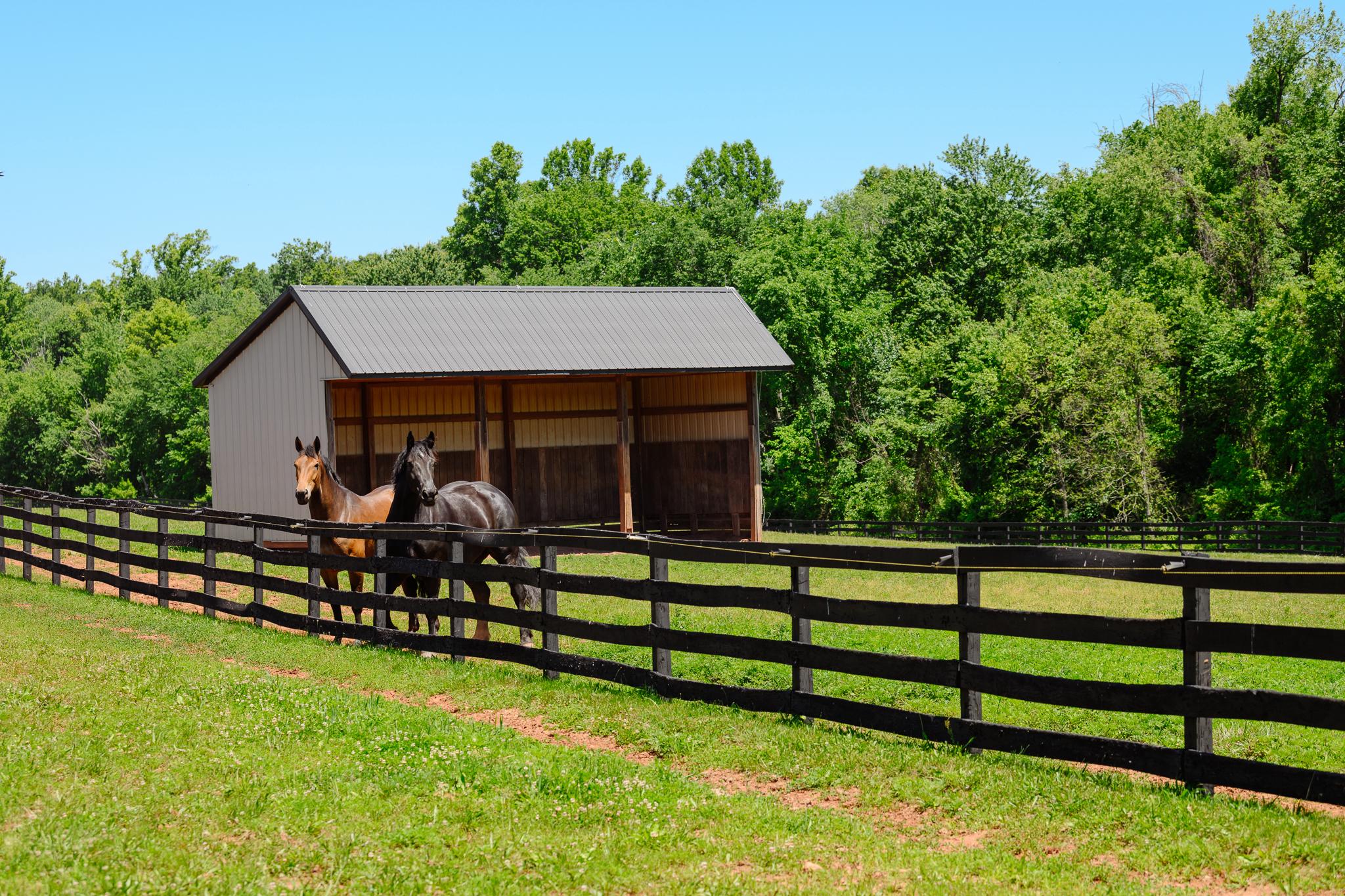 18101 Cattail Road Poolesville, MD 20837 - Photo 72 of 79 4-board painted oak fenced pastures and paddocks