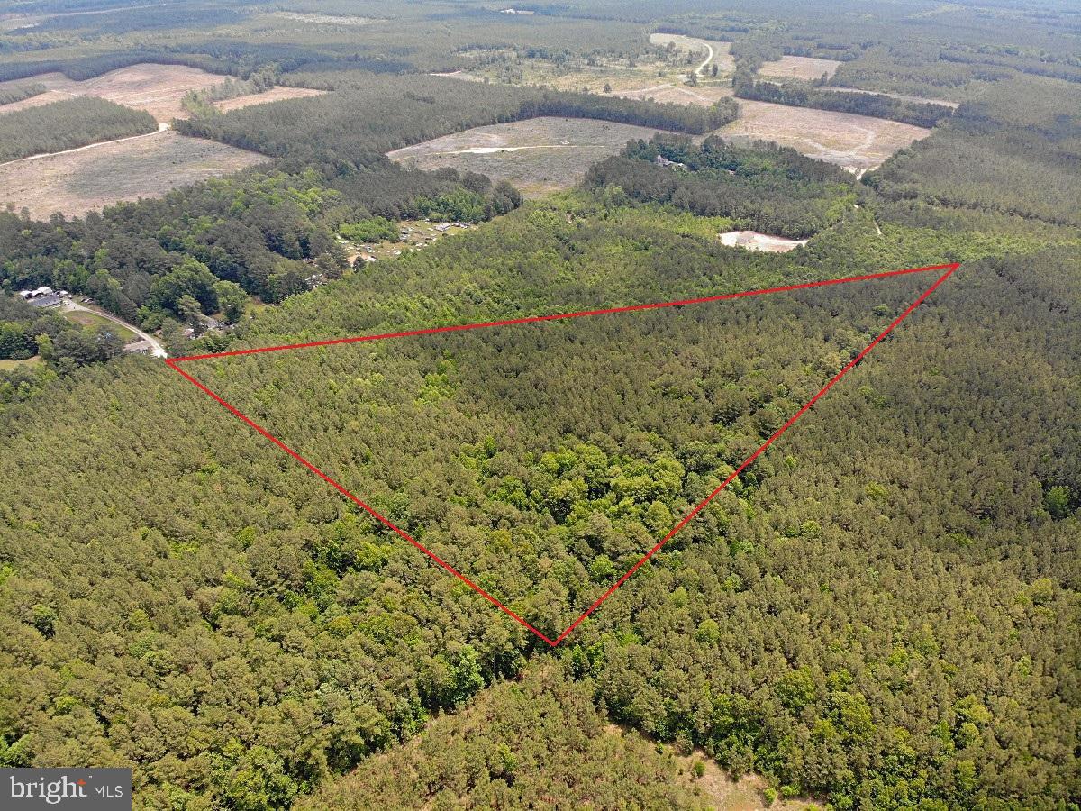 1 Salisbury Road Spring Grove, VA 23881 - Photo 5 of 18