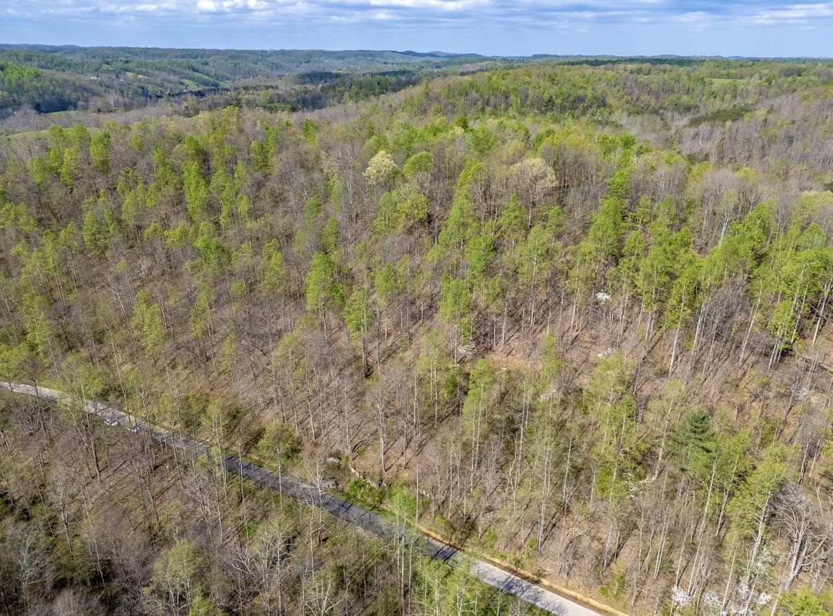 0 Brinegar Road Olive Hill, KY 40351 - Photo 4 of 10