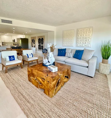 a living room with furniture a rug and a potted plant