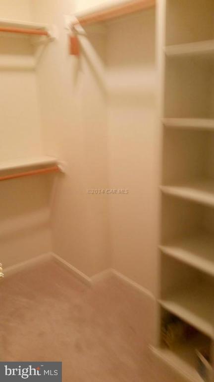 5625 Morris Road Pittsville, MD 21850 - Photo 31 of 60 Gallery Image 31