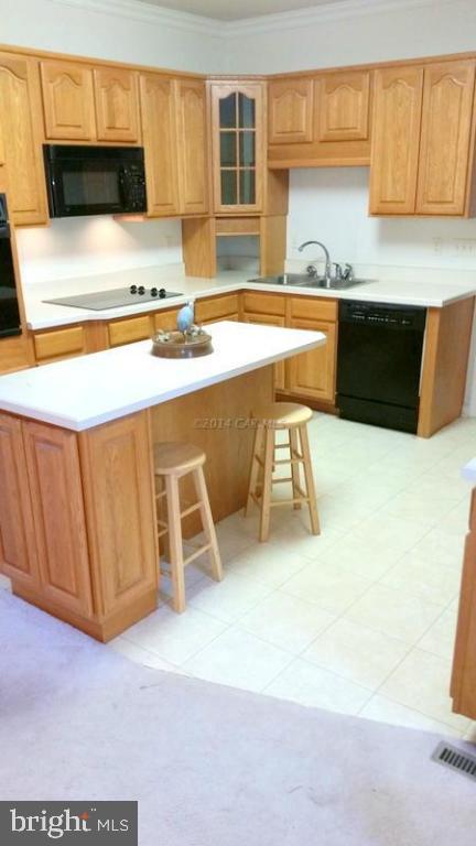 5625 Morris Road Pittsville, MD 21850 - Photo 37 of 60 Gallery Image 37