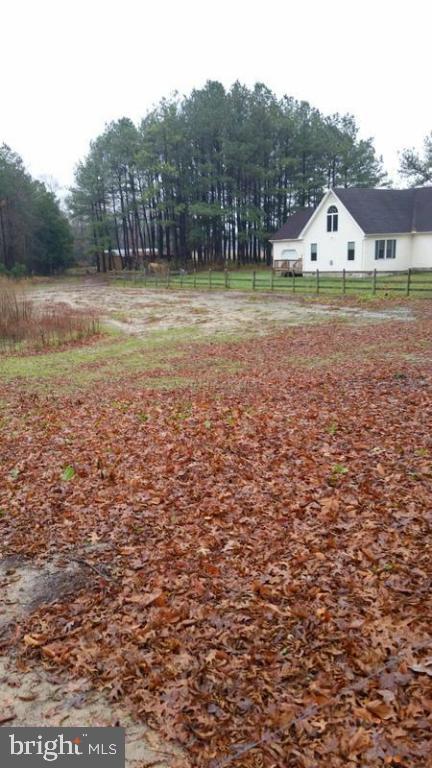 5625 Morris Road Pittsville, MD 21850 - Photo 10 of 60 Gallery Image 10