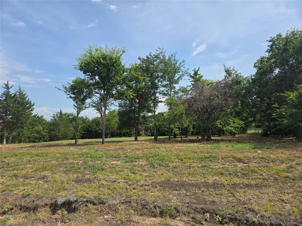 198 Cooper Lane Van Alstyne, TX 75495 - Photo 1 of 4 a view of a green field with trees in the background