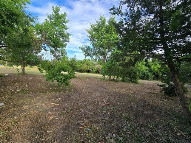 a view of a yard with a tree