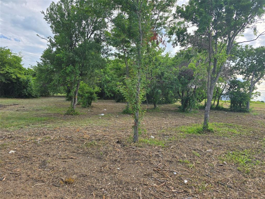 198 Cooper Lane Van Alstyne, TX 75495 - Photo 3 of 4 a view of a forest with trees in the background