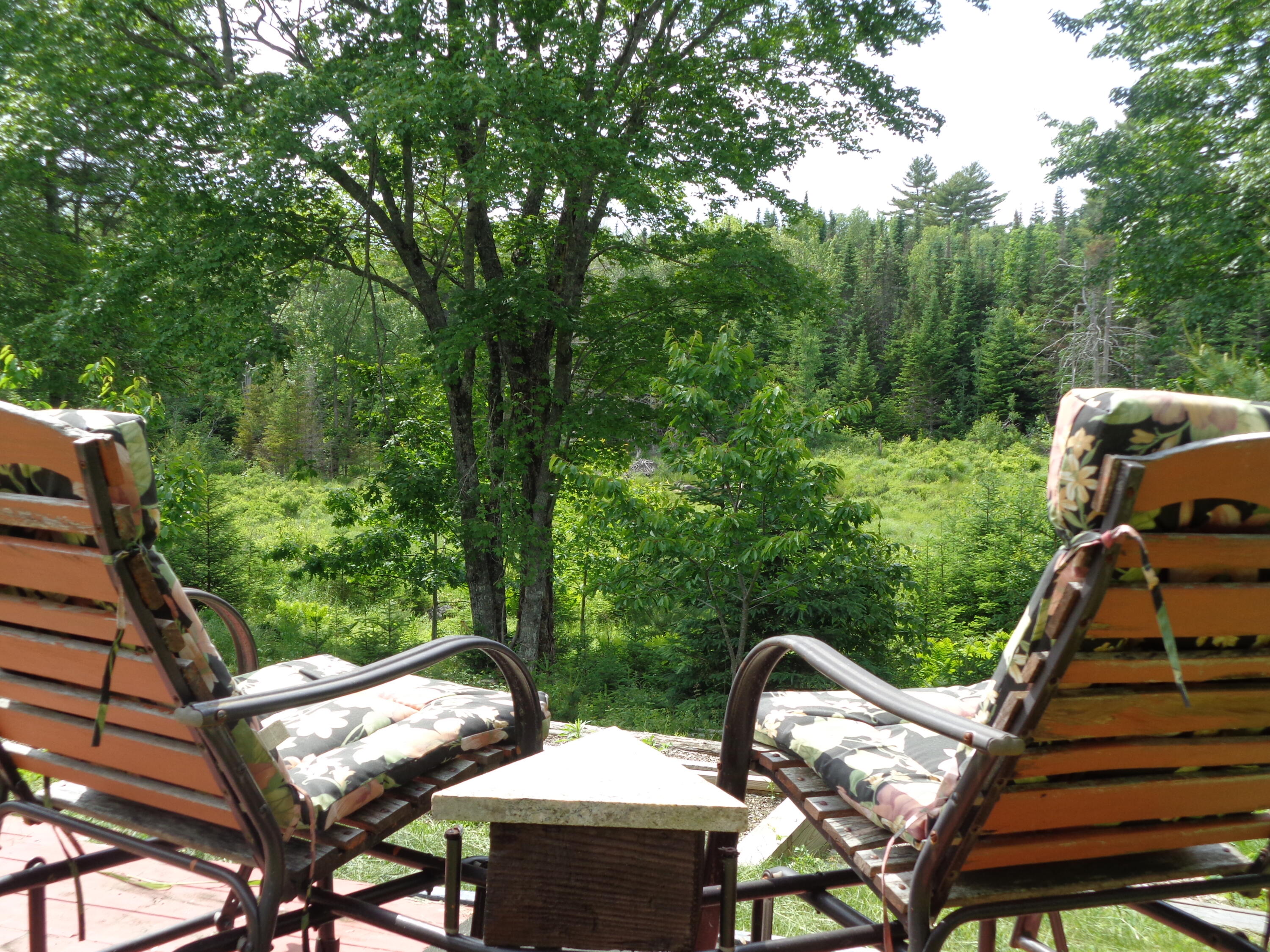 32 Emerson Preble Road Sullivan, ME 04664 - Photo 28 of 40 View towards Stream