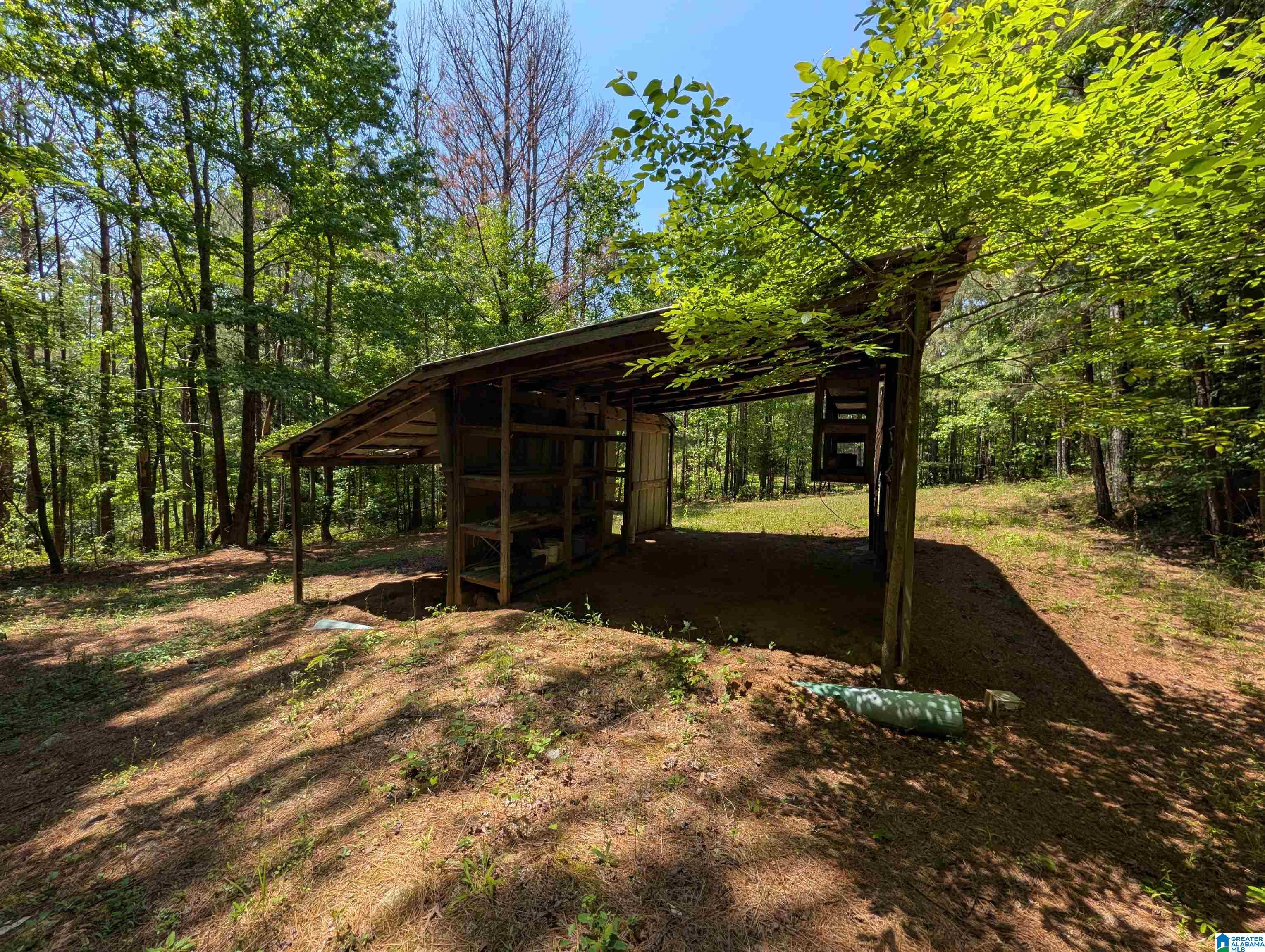 4561 Cook Springs Road Pell City, AL 35125 - Photo 8 of 20