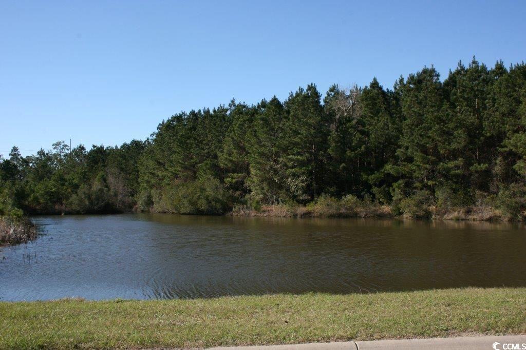 1028 Log Cabin Road Loris, SC 29569 - Photo 34 of 36 View of water feature