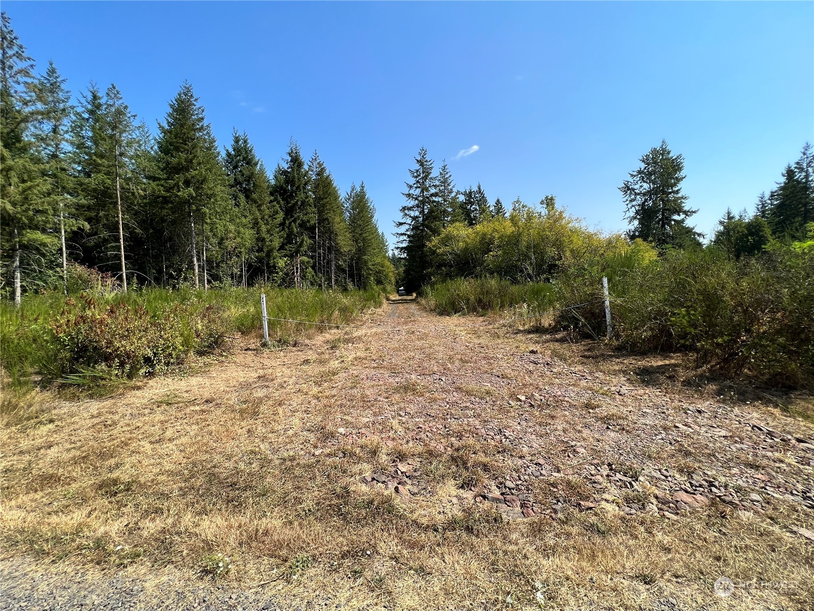 241 Gartner Road Winlock, WA 98596 - Photo 1 of 10 a backyard of a house with lots of green space