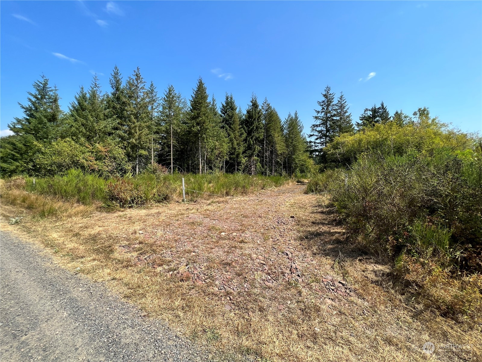241 Gartner Road Winlock, WA 98596 - Photo 4 of 10 a view of a yard with trees in the background