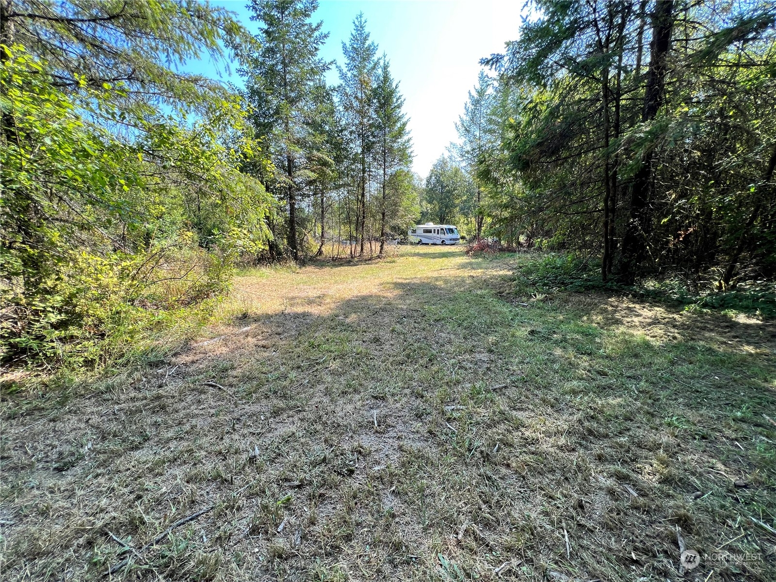241 Gartner Road Winlock, WA 98596 - Photo 5 of 10 a view of yard with trees