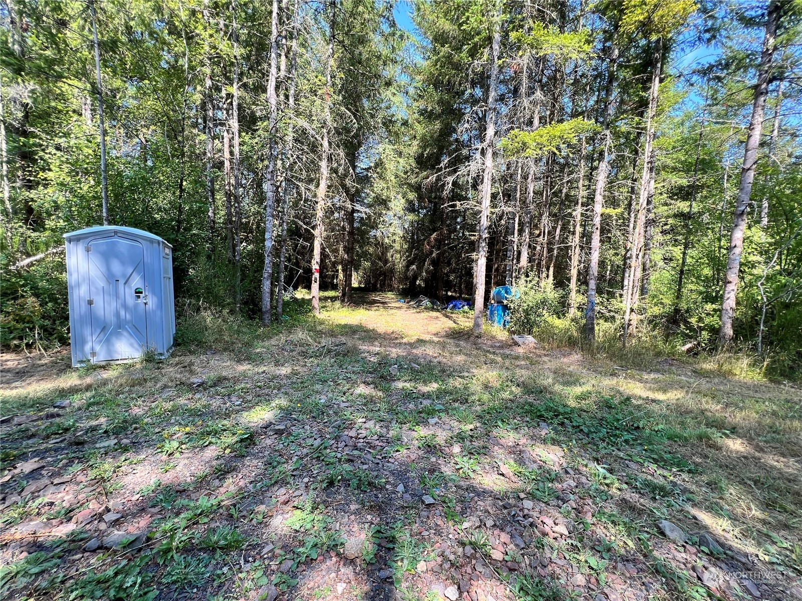 241 Gartner Road Winlock, WA 98596 - Photo 6 of 10 a backyard of a house with barbeque oven