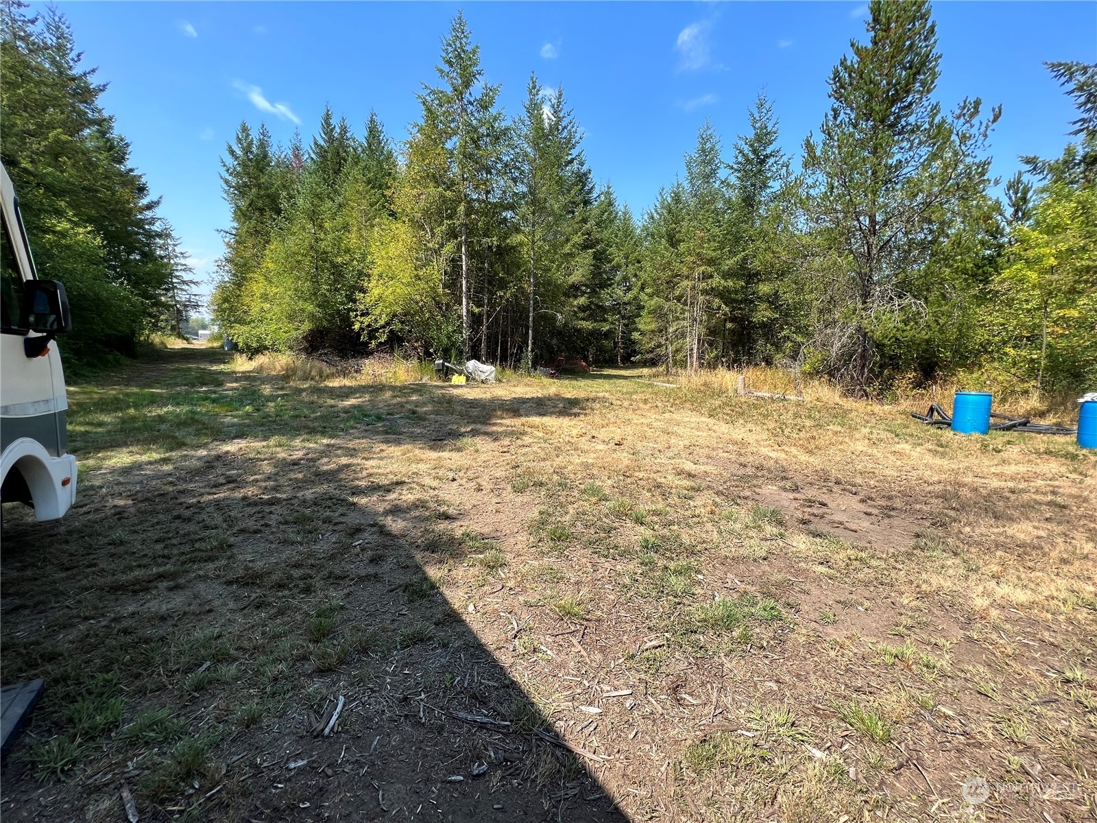 241 Gartner Road Winlock, WA 98596 - Photo 8 of 10 a view of a yard with trees
