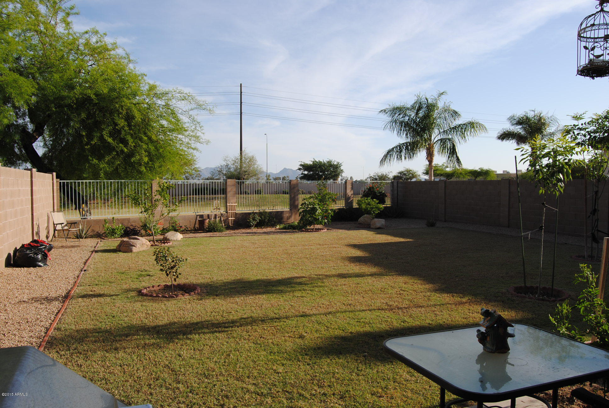 11025 West Almeria Road Avondale, AZ 85392 - Photo 20 of 31 Newly Landscaped Backyard w Citrus, Flow