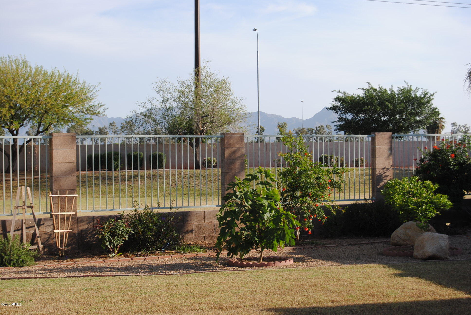 11025 West Almeria Road Avondale, AZ 85392 - Photo 22 of 31 Mountain Views
