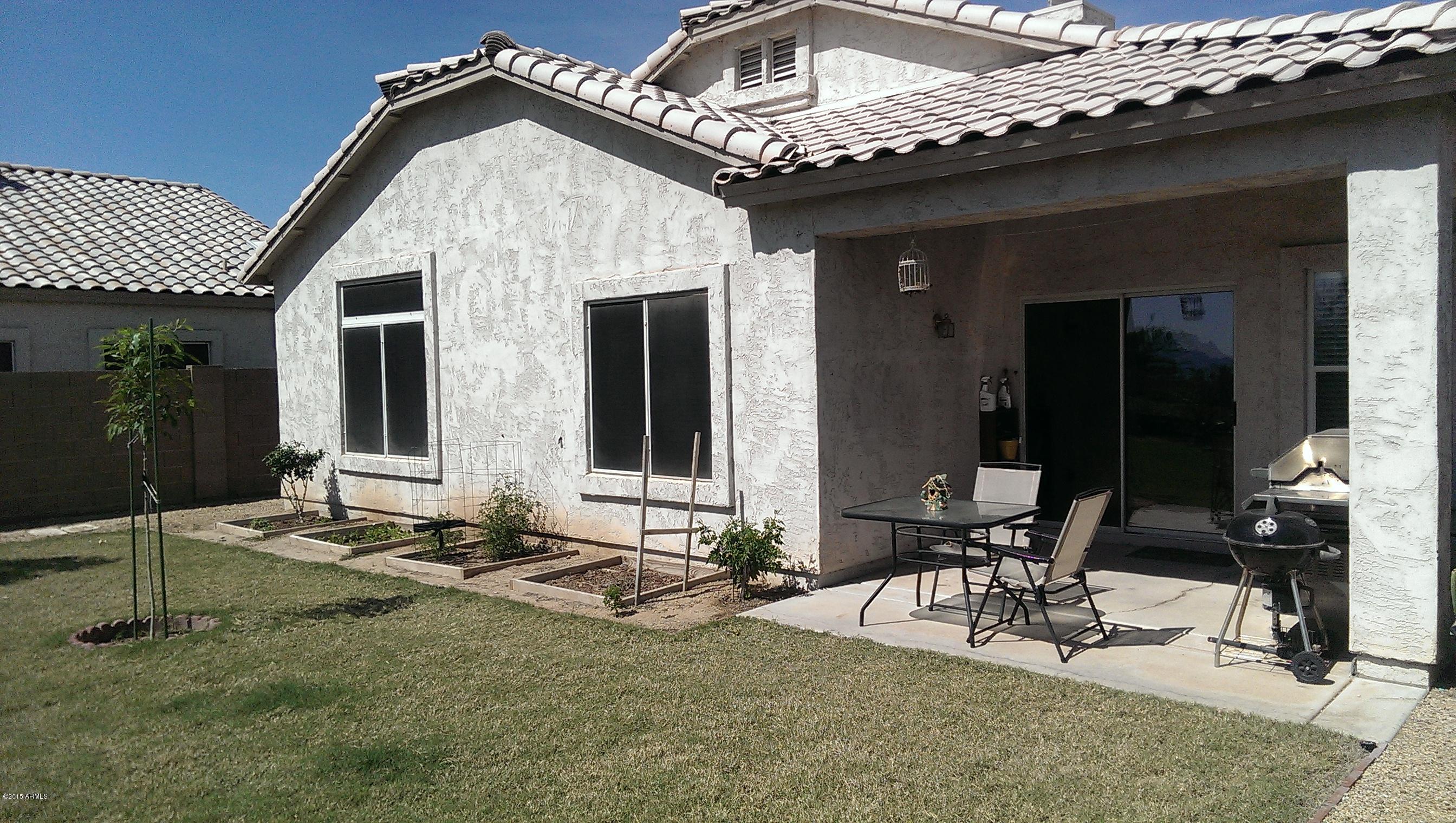11025 West Almeria Road Avondale, AZ 85392 - Photo 25 of 31 Tomatoes and Citrus Trees in the Backyar