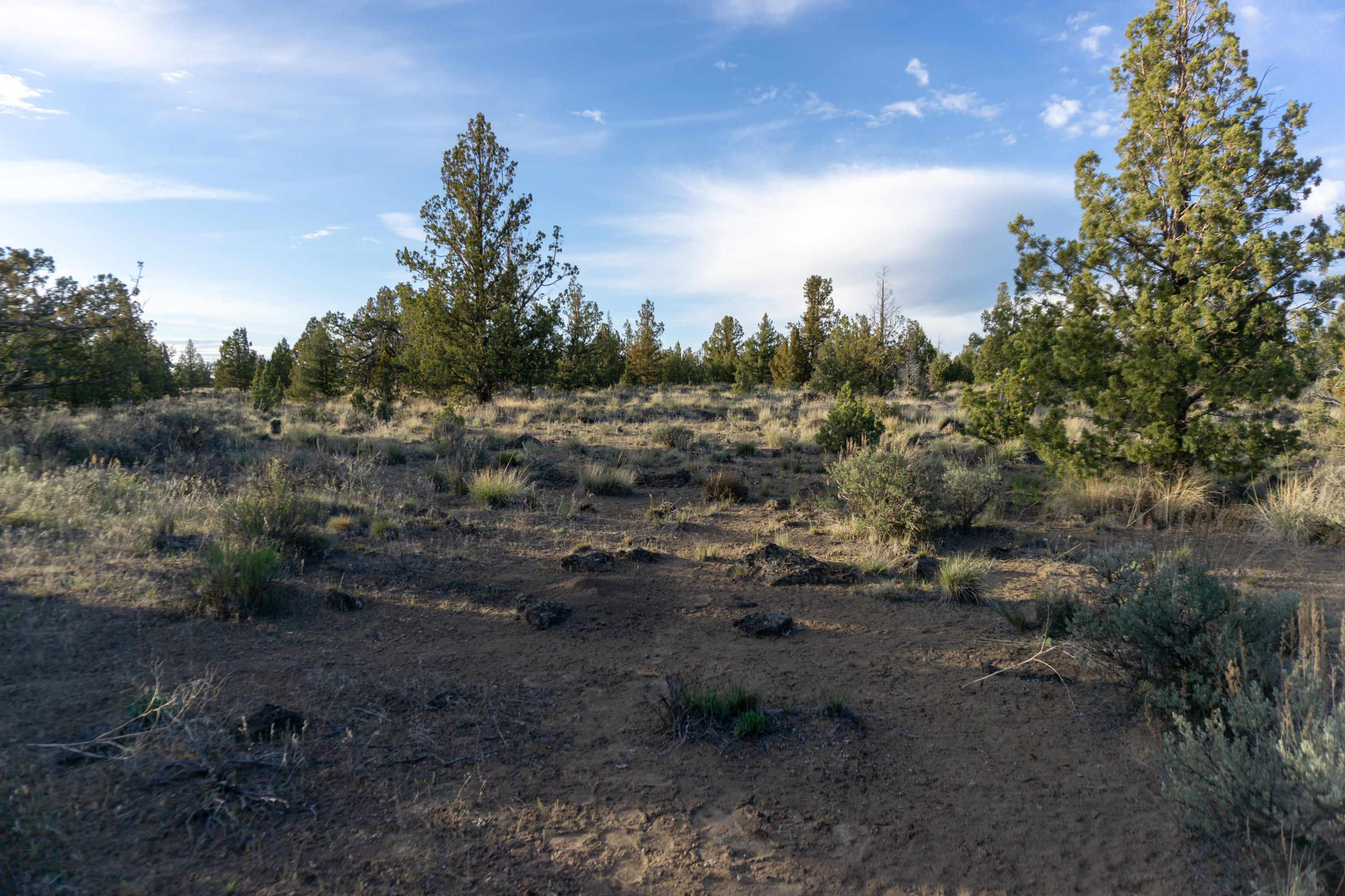 Southeast Klamath Road Prineville, OR 97754 - Photo 19 of 20 DSC03900
