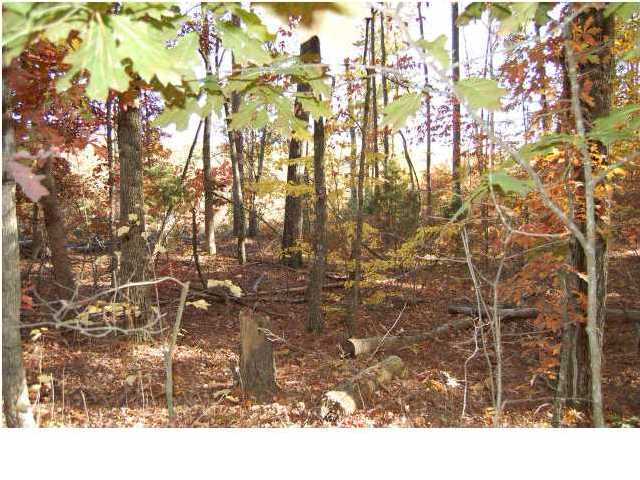 10240 East Brainerd Road Apison, TN 37302 - Photo 1 of 1 Primary Photo