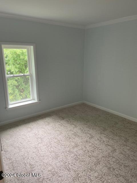 31 Main Street Ballston, NY 12019 - Photo 20 of 23 IMG_4386
