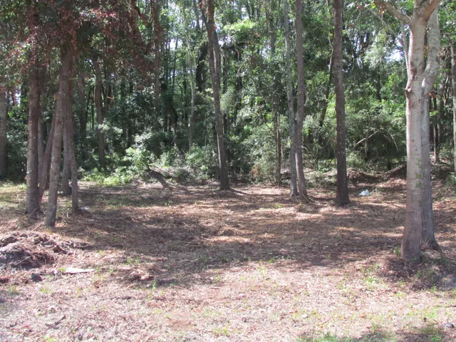 $300,000 | 590 Robert Smalls Parkway, Beaufort, SC 29906