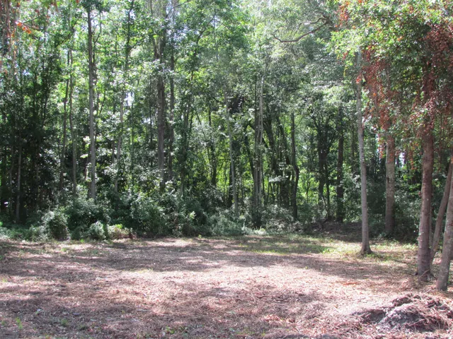 $300,000 | 590 Robert Smalls Parkway, Beaufort, SC 29906