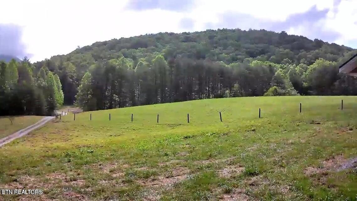 188 Dalton Branch Road Tellico Plains, TN 37385 - Photo 6 of 42