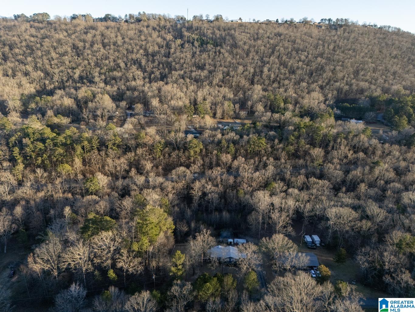 874 Mill Creek Road Warrior, AL 35180 - Photo 46 of 47