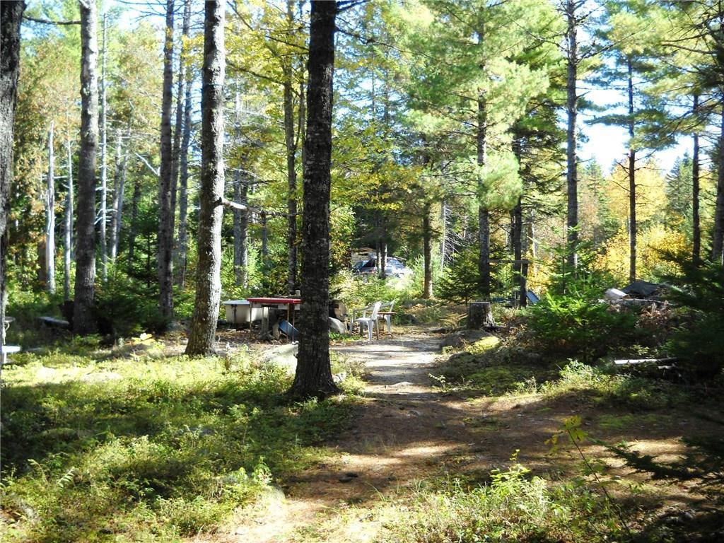 Lot 25 River Bend Road Deblois, ME 04622 - Photo 20 of 27 Photo