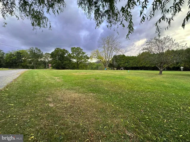 a view of a field with an trees